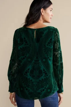 Soft Surroundings Tops-Vanetta Velvet Top